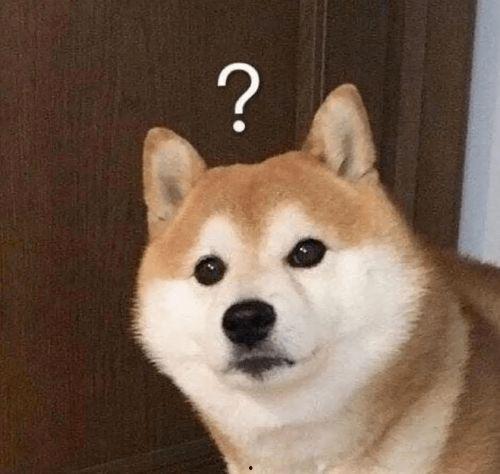 呆狗看爆料视频是真的吗,真相揭秘还是虚假炒作？  第1张