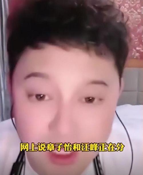 刘一飞直播爆料汪峰视频,揭秘背后惊人真相 第1张 刘一飞直播爆料汪峰视频,揭秘背后惊人真相 第1张